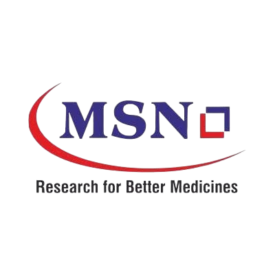 msn logo
